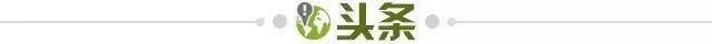 开云app官网-【早报】又是绝杀，小孩哥拯救球队！